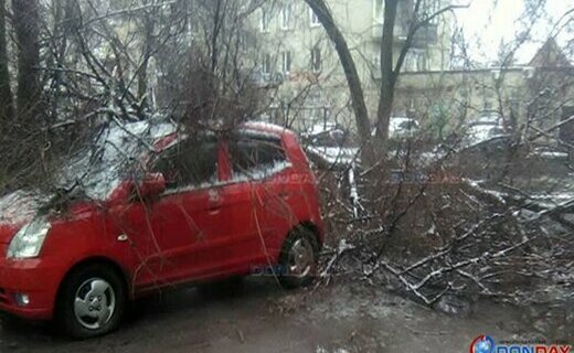 Вчера в Новочеркасске примерно в 6: 30 утра дерево упало на припаркованную иномарку.